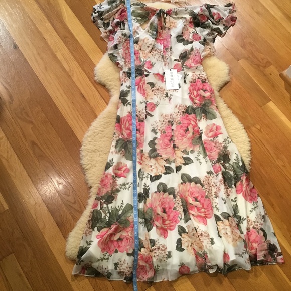 Divine Heritage floral Cottagecore style midi dress - Picture 14 of 14